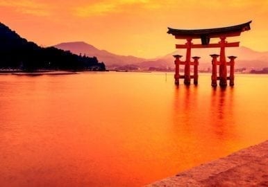 Reading Beyond Murakami - Kafka on the Shore