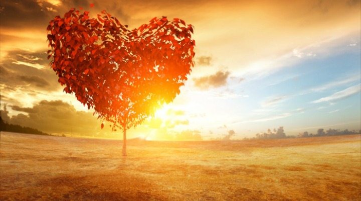 Haruki Murakami love quotes