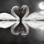Haruki Murakami Love Quotes