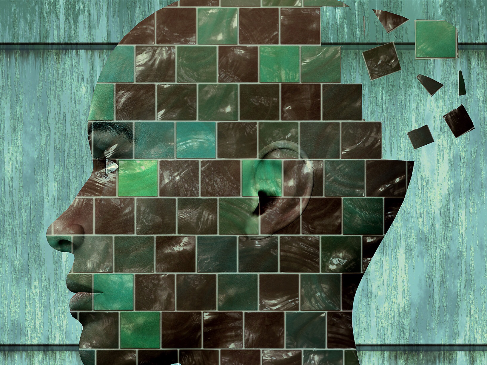 The Image of Thought in Henri Bergson's Philosophy